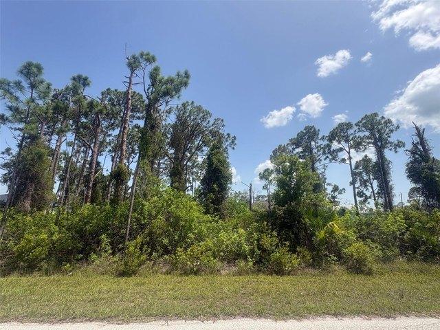 Land for sale in Port Charlotte, Florida