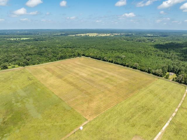 Ranch for sale in Texas