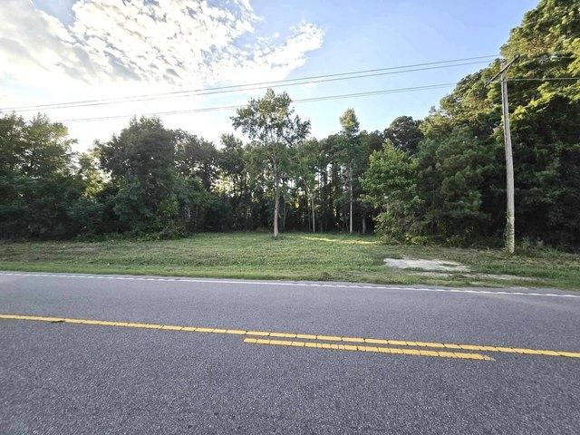 Land for sale in Manning, South Carolina