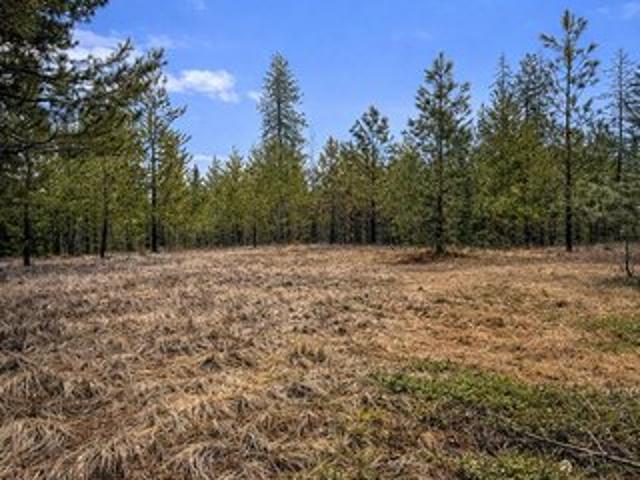 Land for sale in Newport, Washington