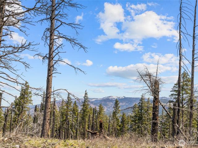 Land for sale in Cle Elum