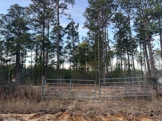 Land for sale in Gilbert, South Carolina