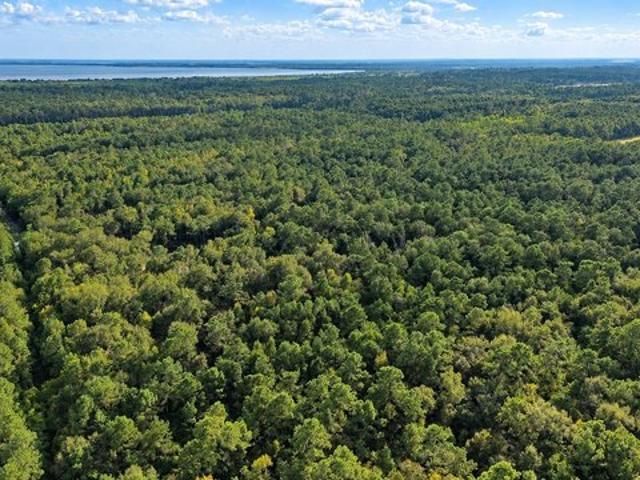 Land for sale in Wallisville, Chambers County