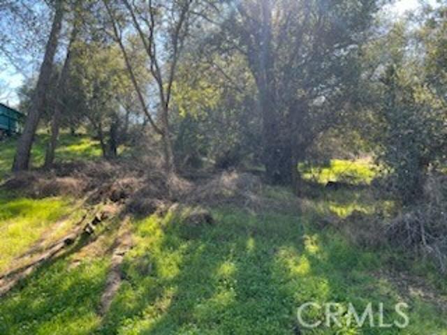 Land for sale in Lake, California