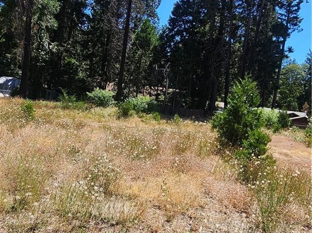 Land for sale in Butte, California