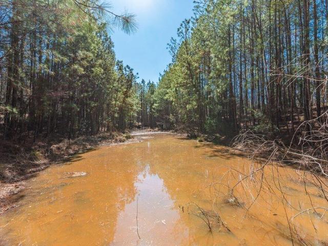 Land for sale in Appling, Georgia