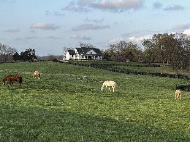Farm for sale in Springfield, Middle Tennessee