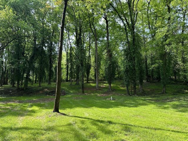 Land for sale in Tennessee