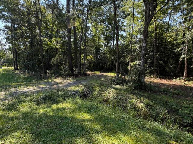 Land for sale in Oriental, North Carolina