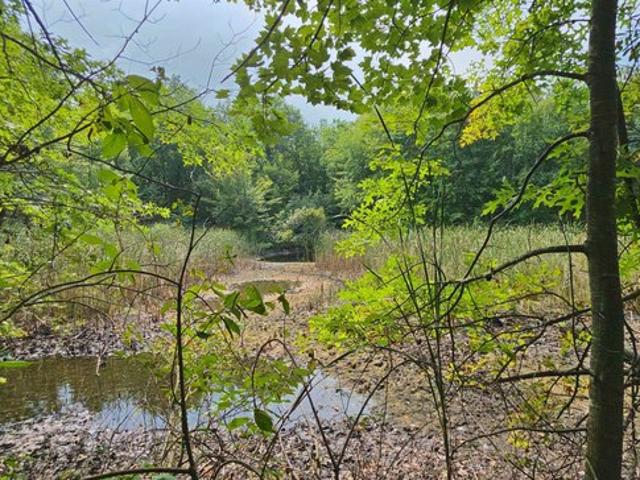 Land for sale in Chesaning, Michigan