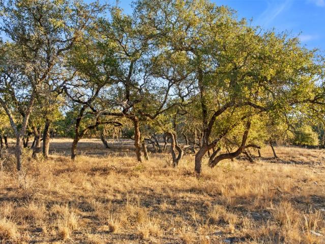 Land for sale in Blanco, Texas