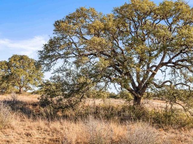 Farm for sale in Johnson City, Blanco County
