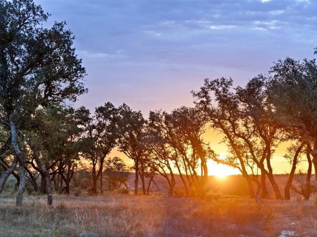 Farm for sale in Johnson City, Blanco County