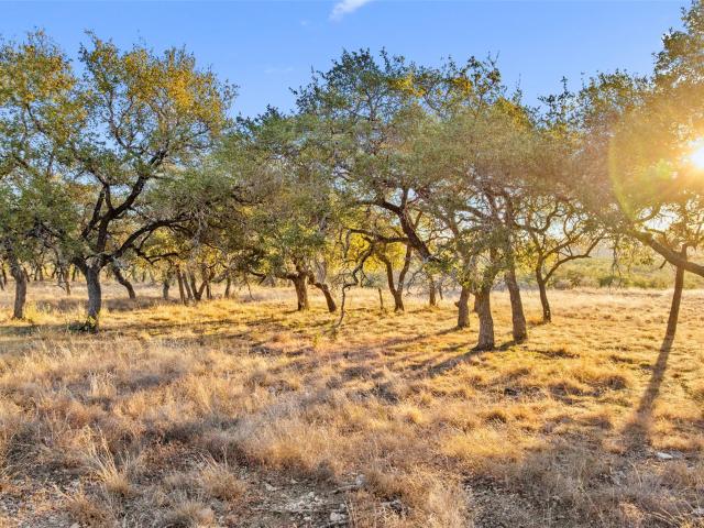 Farm for sale in Blanco, Texas