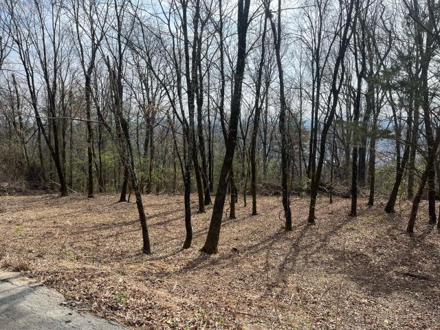 Land for sale in Palisades, Signal Mountain