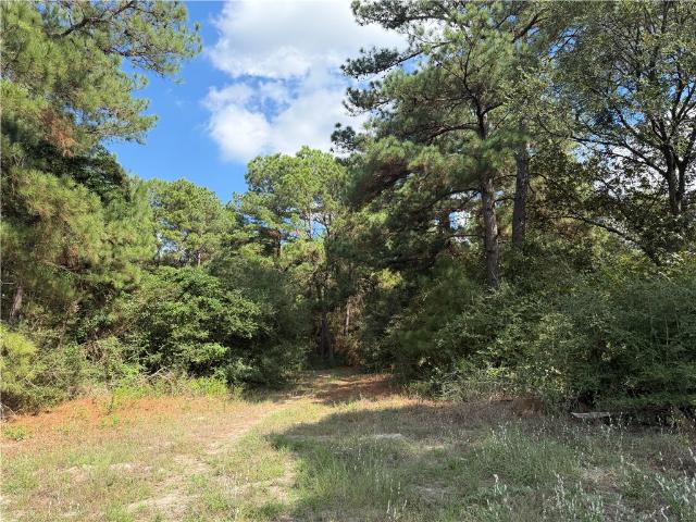House for sale in Bedias, Grimes County