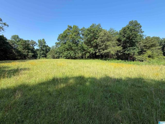 Land for sale in Pleasant Grove, Alabama