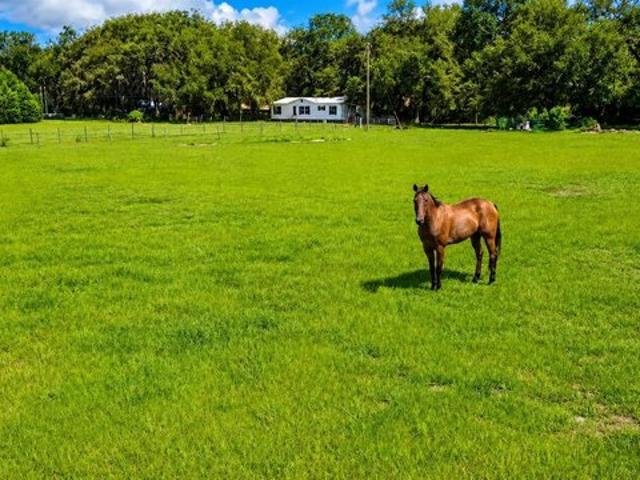 House for sale in Webster, Florida