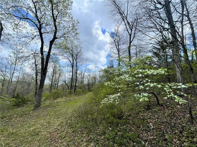 Land for sale in West Fork, Washington County