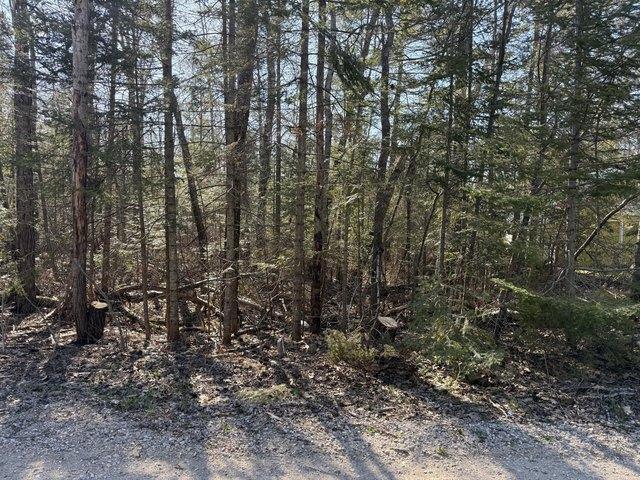 Land for sale in Cheboygan, Michigan