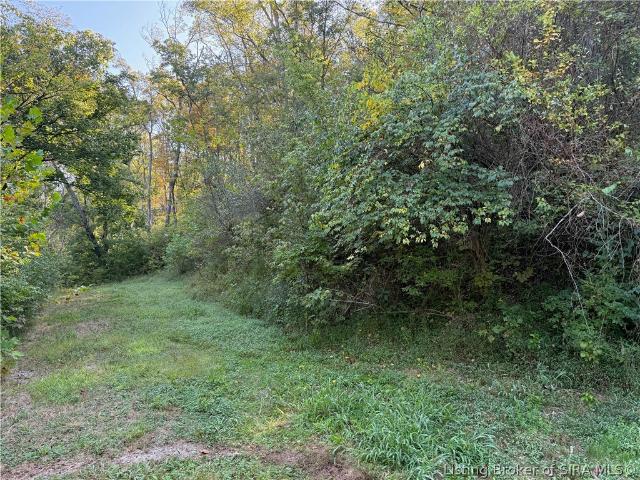 Land for sale in Patriot, Indiana
