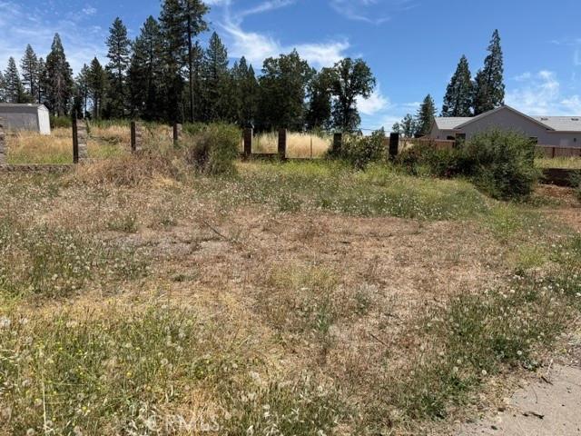 Land for sale in Butte, California