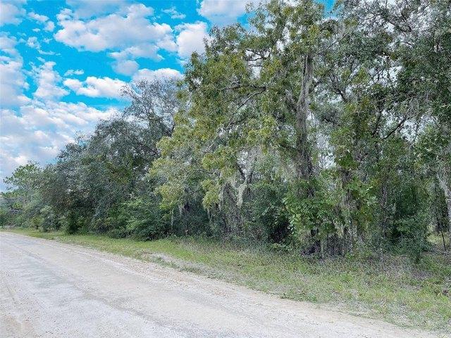 Land for sale in Williston, Levy County