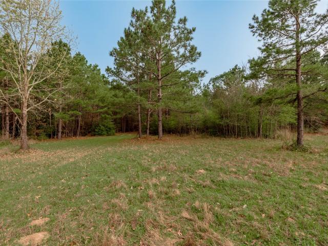 Land for sale in Crockett, Texas