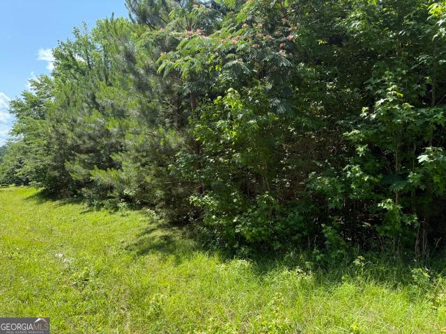 Land for sale in Warm Springs, Georgia