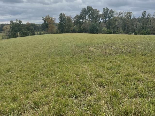 House for sale in Nubia, Westmoreland