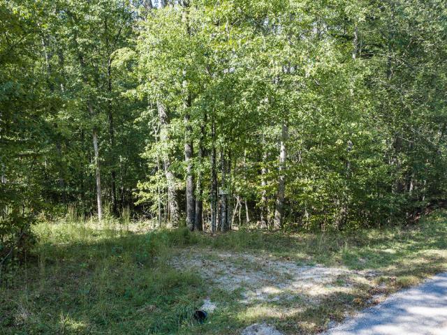 Land for sale in Monterey, Middle Tennessee