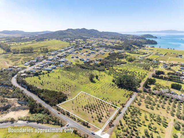 Land for sale in Northland