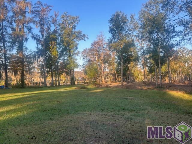 Land for sale in Maurepas, Louisiana