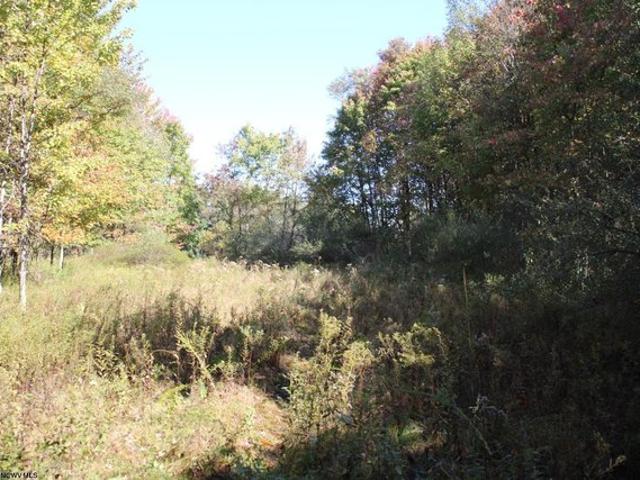 Land for sale in Masontown, West Virginia