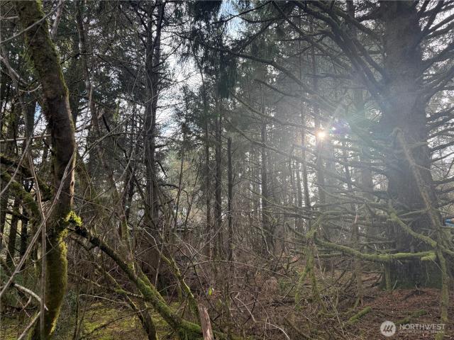 Land for sale in Long Beach, Washington