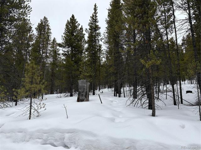 Land for sale in Twin Lakes
