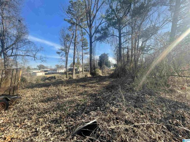 Land for sale in Graysville, Alabama