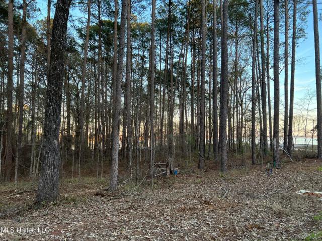Land for sale in Canton, Mississippi