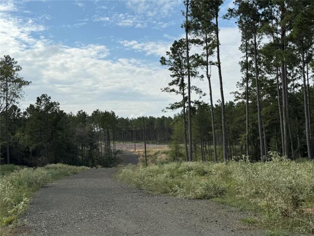 Land for sale in Timpson, Shelby County