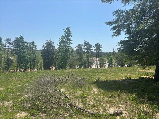 Land for sale in Polk, Texas
