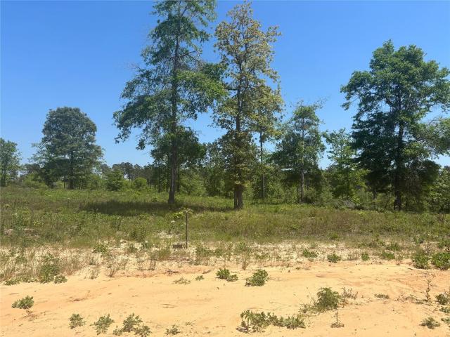 Land for sale in Polk, Texas