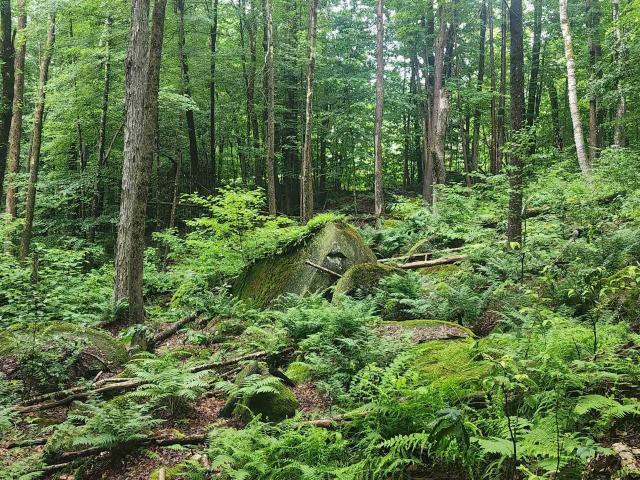 Land for sale in New Hampshire