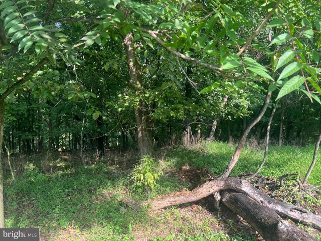 Land for sale in Berkeley Springs, West Virginia