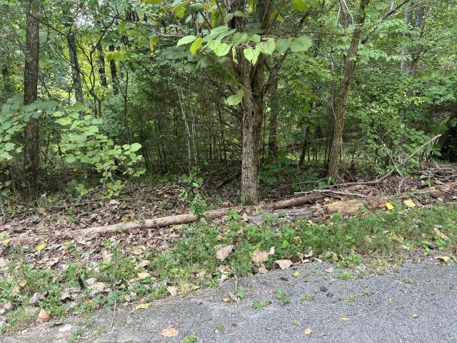 House for sale in Burkesville, Cumberland County