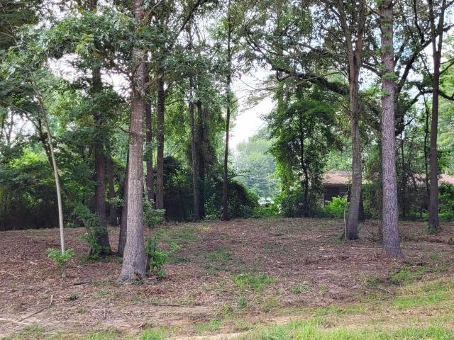 Land for sale in Ark