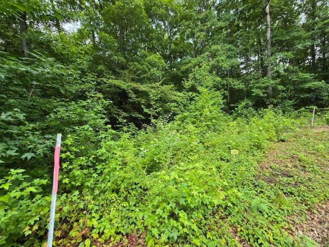 Land for sale in Tennessee