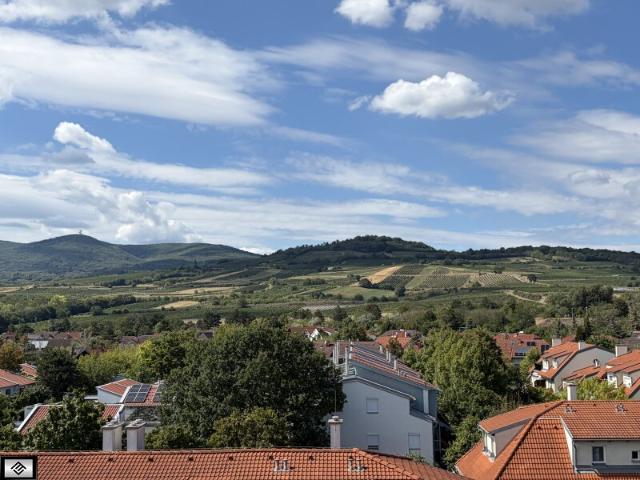 Penthouse kaufen in Guntramsdorf, Niederösterreich