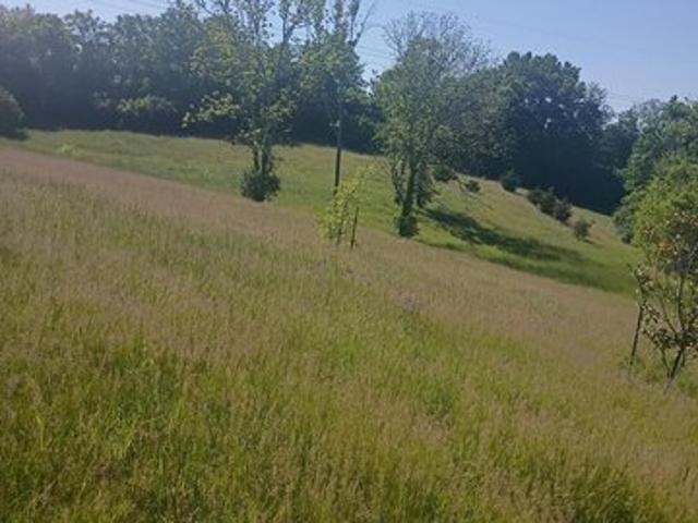 Land for sale in Richmond, Kentucky