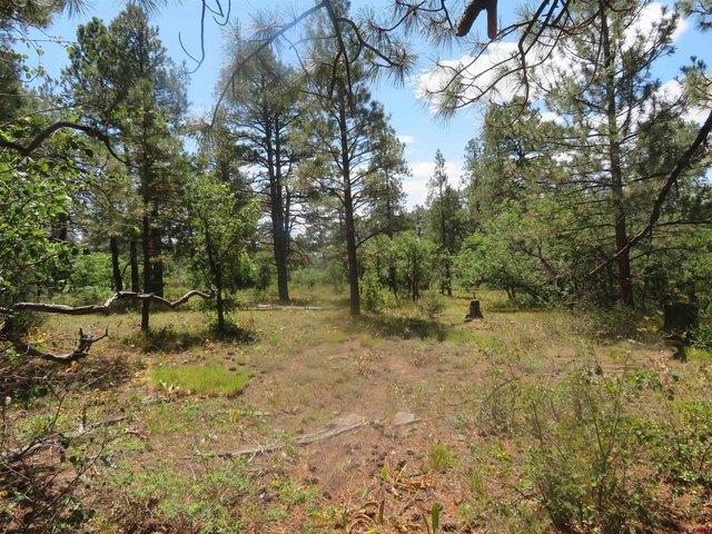 Land for sale in Pagosa Springs, Colorado