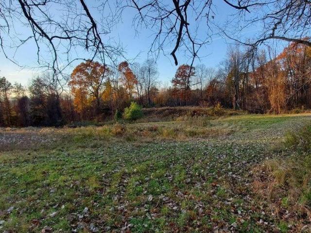 Land for sale in Westmere, Town of Guilderland